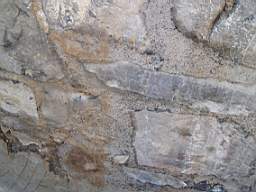 coolross 2215.jpg